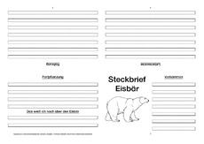 Eisbär-Faltbuch-vierseitig-1.pdf